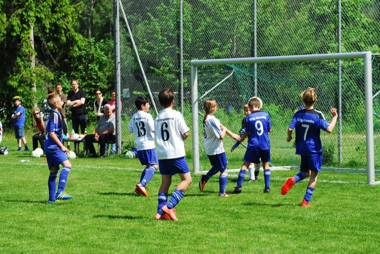 SpVgg Altenerding – TSV Wartenberg II  8:1