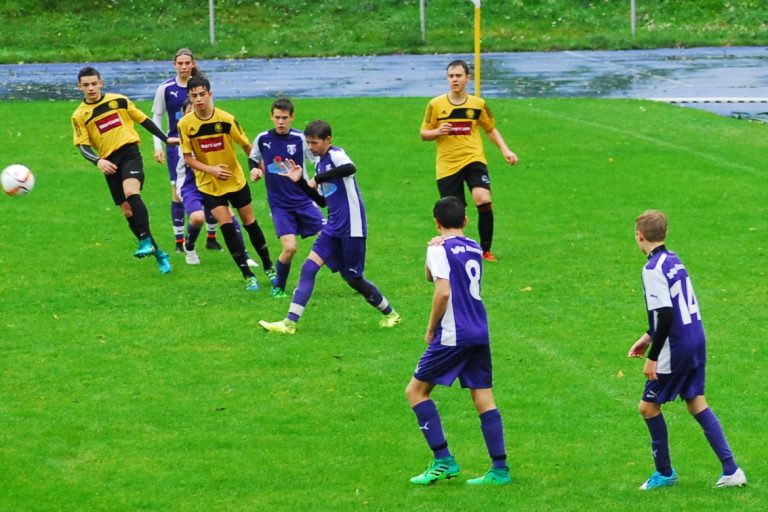 SpVgg Altenerding – SE Freising 3:0