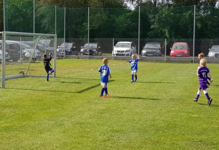 F4-Junioren: BSG Taufkirchen – SpVgg Altenerding  1:4