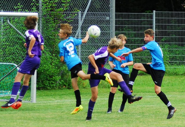 D2-Junioren: SpVgg Altenerding – BSG Taufkirchen  2:0
