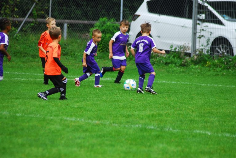 F3-Junioren: SpVgg Altenerding – TSV Wartenberg  4:1