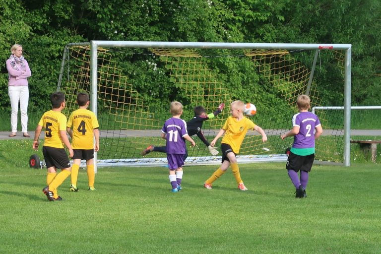 F2-Junioren: DJK Ottenhofen – SpVgg Altenerding  5:5