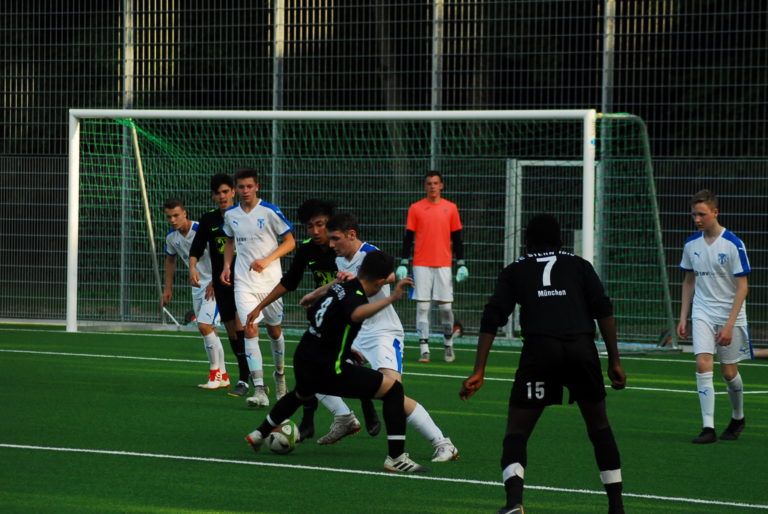 B1-Junioren: FC Stern München – SpVgg Altenerding  9:0