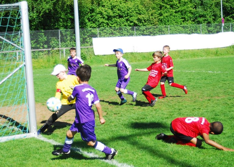 F3-Junioren: SpVgg Altenerding – TSV Wartenberg II  6:0