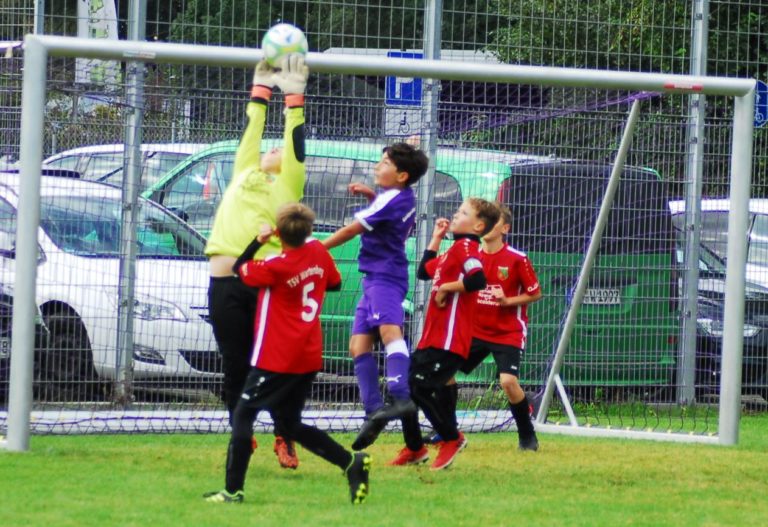 E2-Junioren: SpVgg Altenerding – TSV Wartenberg  3:3