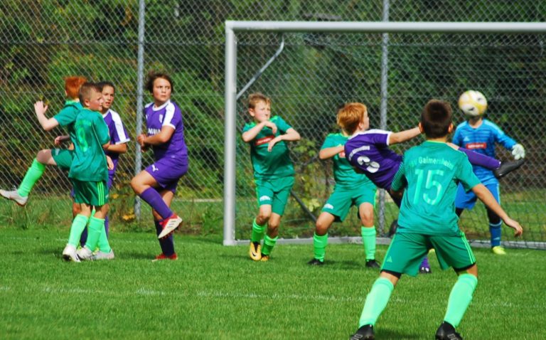 D1-Junioren: SpVgg Altenerding – TSV Gaimersheim  3:0