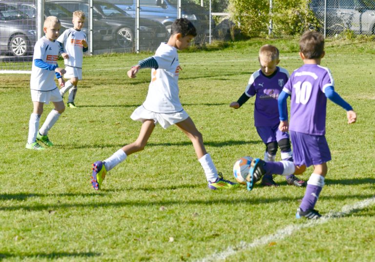 F2-Junioren: SpVgg Altenerding – BSG Taufkirchen  2:2