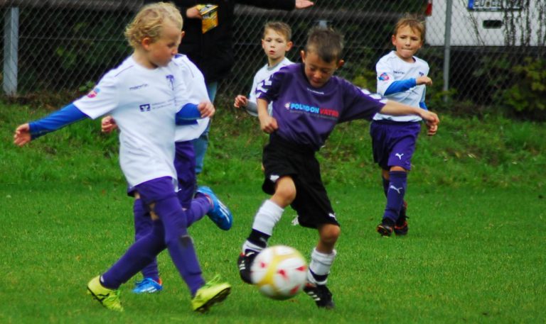 F3-Junioren: SpVgg Altenerding – SG (FSV) Steinkirchen  2:0
