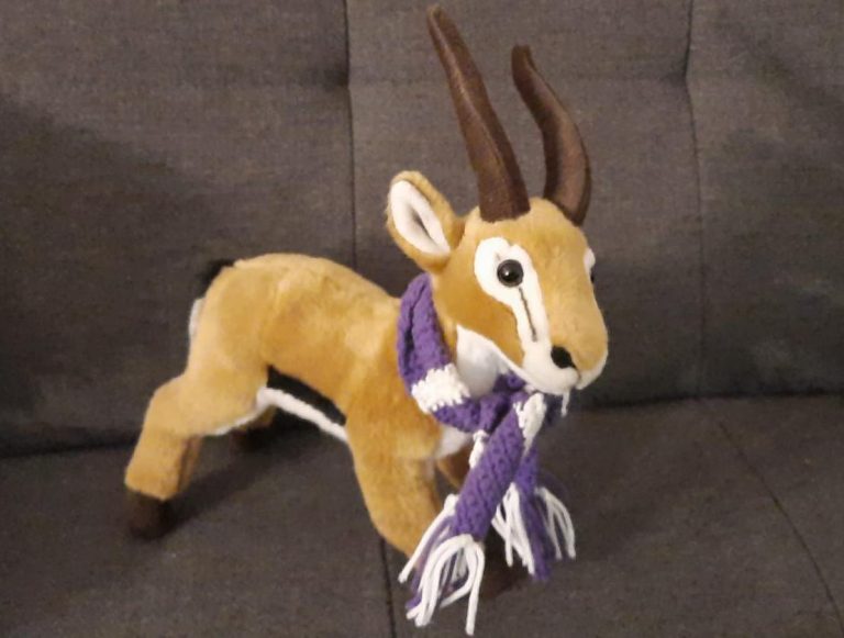 C-Juniorinnen: SG Schwaig/Oberding – SpVgg Altenerding  4:8