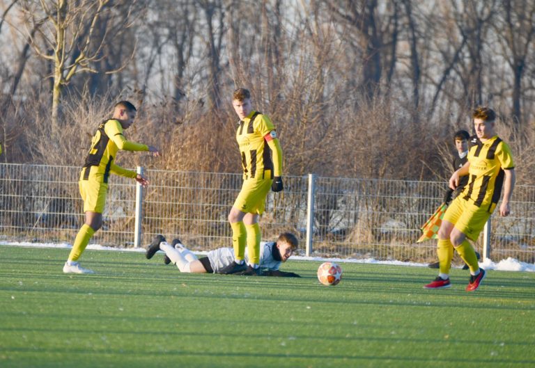 Herren 1: SpVgg Altenerding – SE Freising  1:3