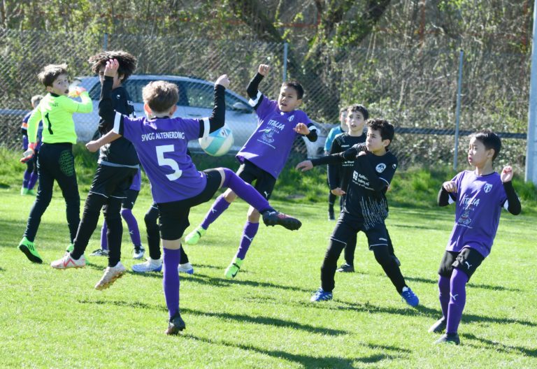 E3-Junioren: SpVgg Altenerding – FC Herzogstadt II  7:1