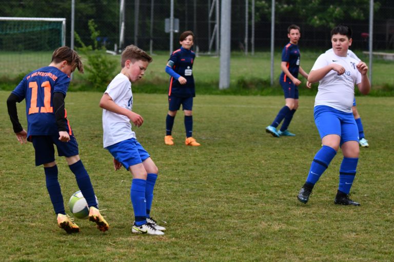 D5-Junioren: SpVgg Altenerding – (SG) SV Walpertskirchen  4:3