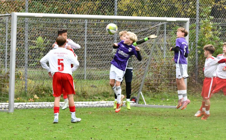D1-Junioren: SpVgg Altenerding – VfB Hallbergmoos