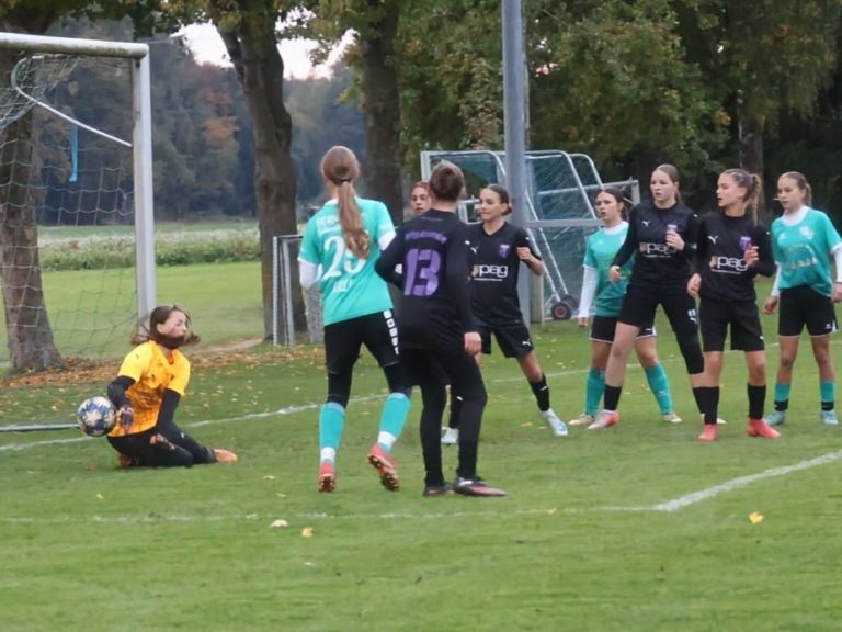 C-Juniorinnen: (SG) SpVgg Röhrmoos/TSV Schwabhausen – SpVgg Altenerding  1:2