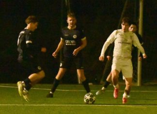 Herren 2: SpVgg Altenerding – FC Herzogstadt 1:1