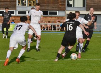 Herren 2: SpVgg Altenerding – BSG Taufkirchen 0:3