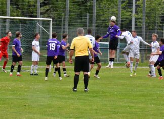 Herren 1: SV Nord-Lerchenau – SpVgg Altenerding 1:0