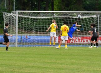 A1-Junioren: (SG) Herzogstadt/Altenerding – VfB Hallbergmoos 8:2